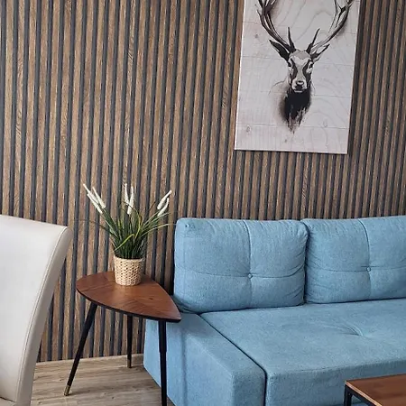 North 홈스테이 Jastrzębia Góra